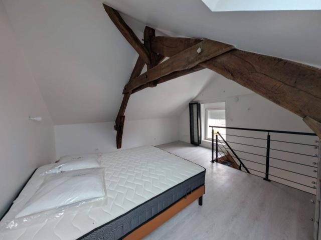 APPARTEMENT 2 PIECES EN DUPLEX MEUBLE CERNY