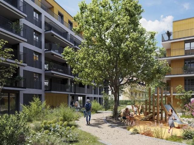 Appartement 2,5 pièces neuf au 2ème étage à louer à Renens