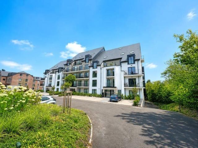 Appartement 2ch, terrasse, cave et parkings