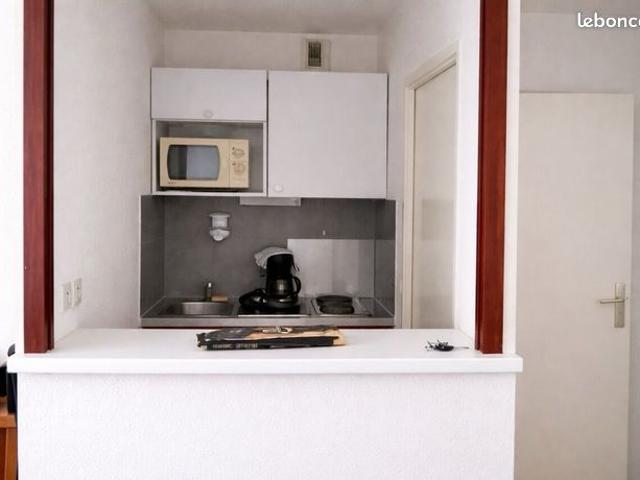Appartement 32 m² Lyon
