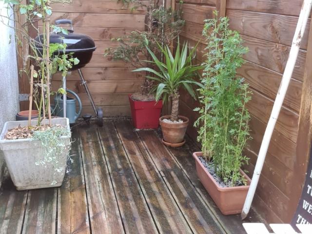 appartement 32m2