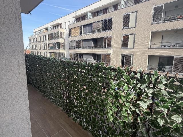 appartement 37m2
