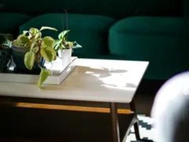Appartement · 35 m² · Saint Léonard
