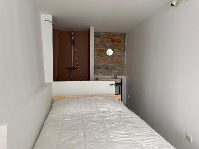 Appartement 36 m² 1 pièce Lyon 69001