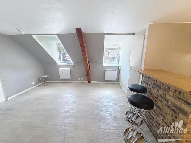 Appartement 38m2 Duplex T2 a belfort