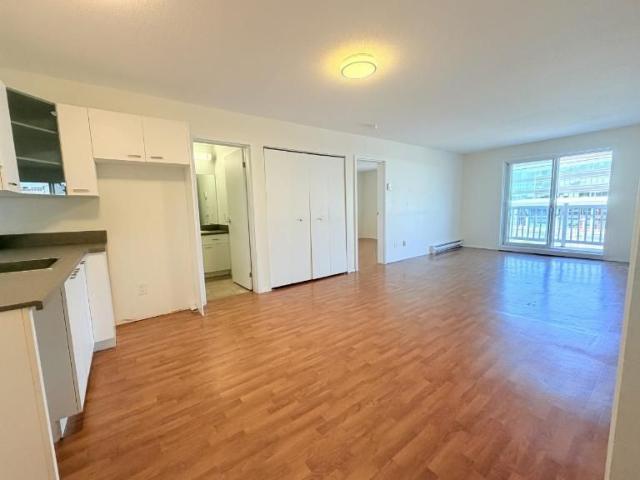 Appartement 3 ½ à louer Sainte Foy / Sillery août 2027