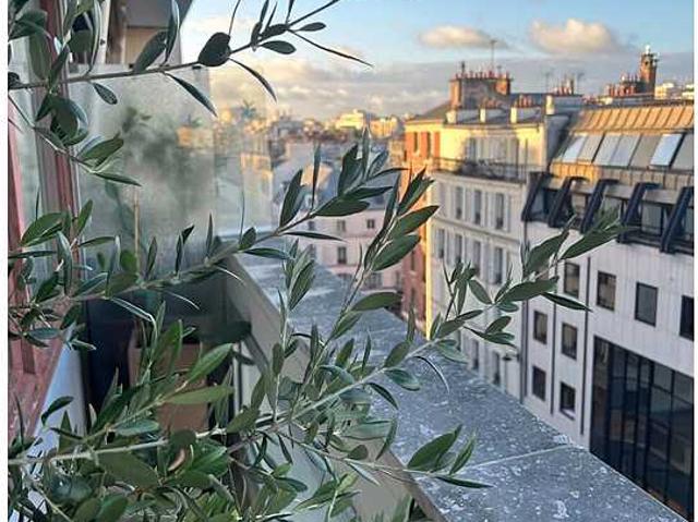 Appartement 3 chambres meublé avec accès handicapé, terrasse et ascenseur Montparnasse Paris 14°