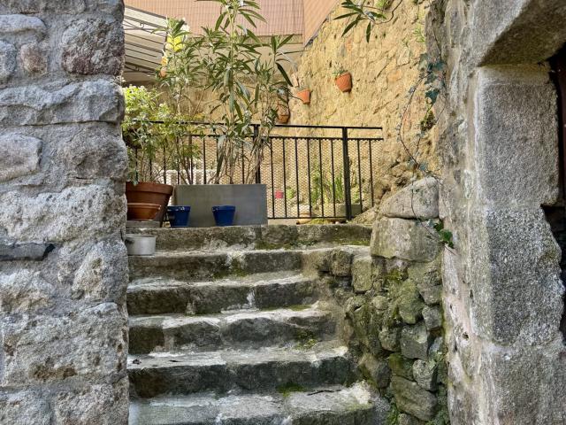 Appartement 3 pièces 47 m²