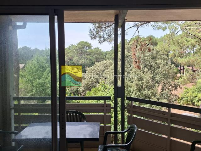 Appartement 3 pièces 45 m²