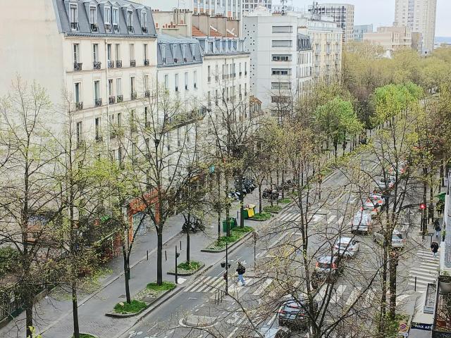 Appartement 3 pièces 46 m²