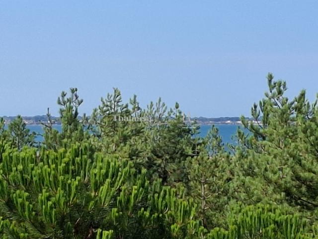 Appartement 3 pièces 46 m²