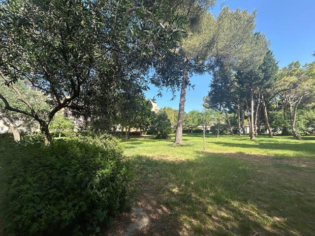 Appartement 3 pièces 53 m²