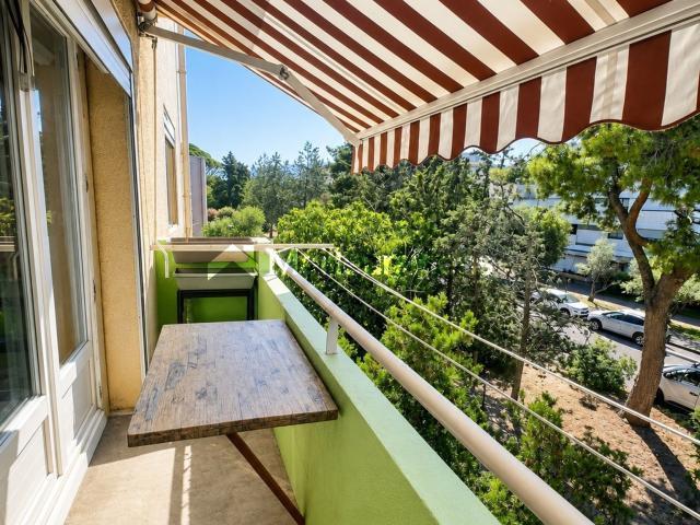 Appartement 3 pièces 50 m²