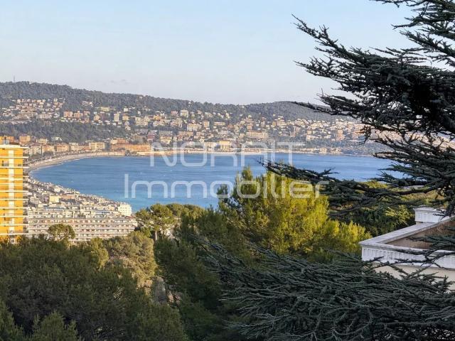 Appartement 3 pièces 50 m²