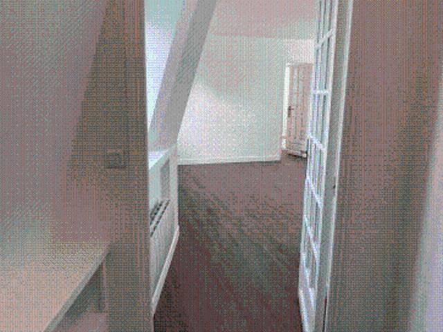 appartement 3 pieces