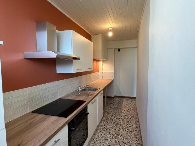 Appartement 3 pièces, 52 m² à louer à Villeurbanne 69100