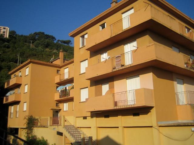 Appartement 3 pièces, 54 m² à louer à Bastia 20200