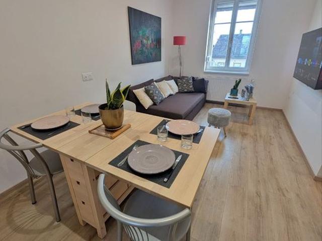 Appartement 3 pièces, 54 m² à louer à Schiltigheim 67300