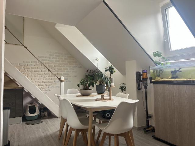 Appartement 3 pièces 54 m²