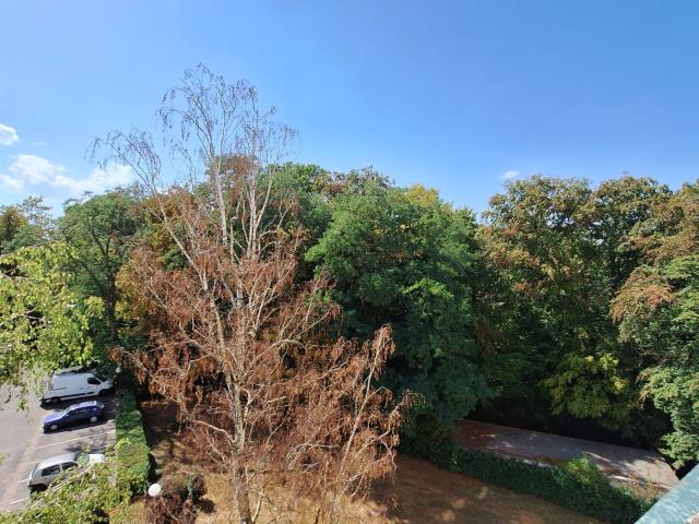 Appartement 3 pièces 54 m²