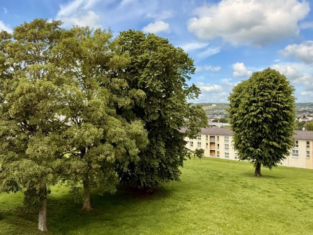 Appartement 3 pièces 54 m²