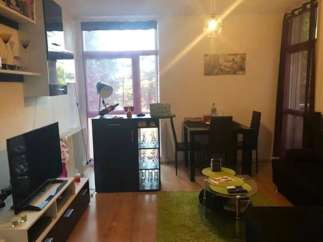 Appartement 3 pièces, 55 m² à louer à Lyon 9 69009