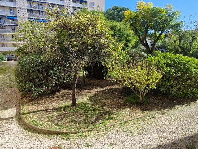 Appartement 3 pièces, 56 m² à louer à Toulon 83200