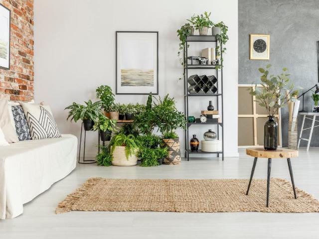Appartement 3 pièces 56 m²