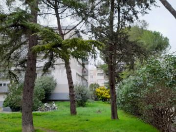 Alco, La Languedocienne Montpellier, Maurin, Hérault, Languedoc-Roussillon