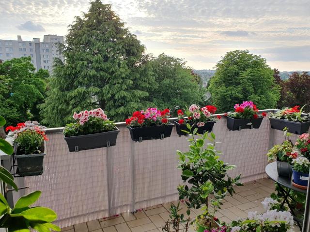 Appartement 3 pièces 67 m²