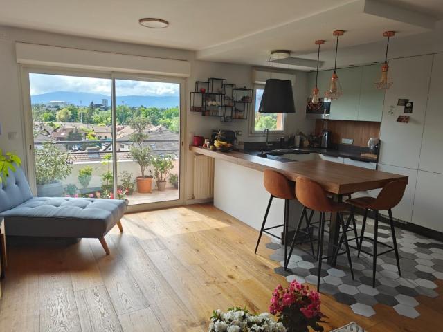 Appartement 3 pièces, 65 m² à louer à Ambilly 74100