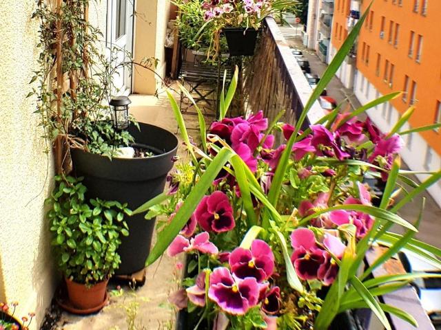 Appartement 3 pièces 66 m²