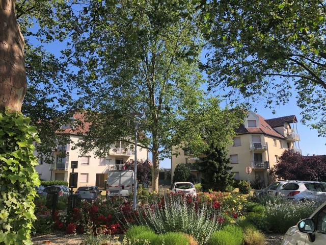 Appartement 3 pièces 70 m²