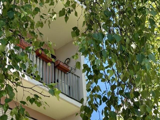 Appartement 3 pièces 71 m²