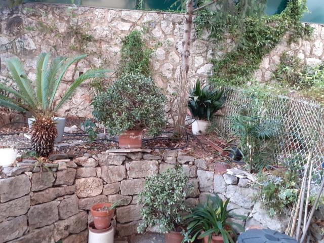 Appartement 3 pièces, 74 m² à louer à Nice 06000