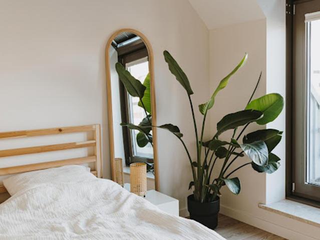 Appartement 3 pièces 75 m2