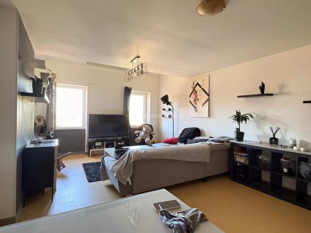 Appartement 3 pièces 75 m²
