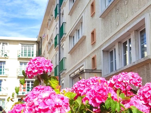 Appartement 3 pièces 78 m²