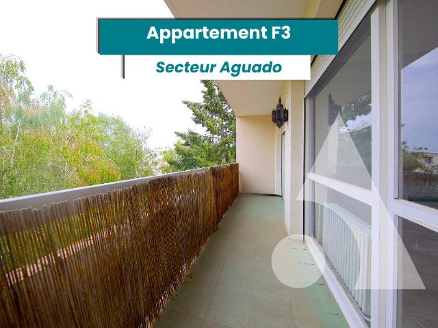 Appartement 3 pièces 80 m²