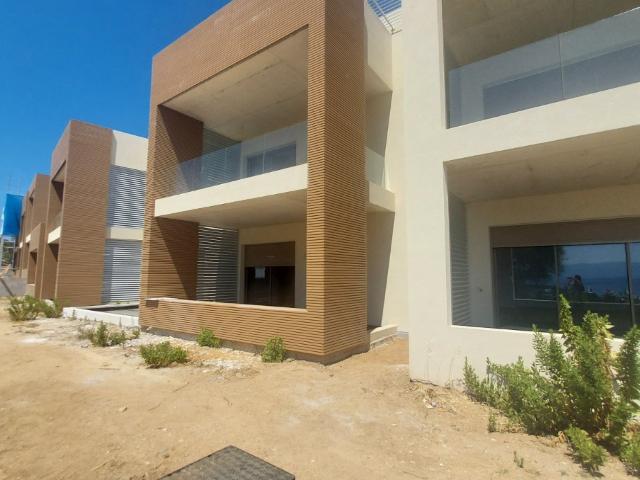Appartement 3 pièces 80 m²