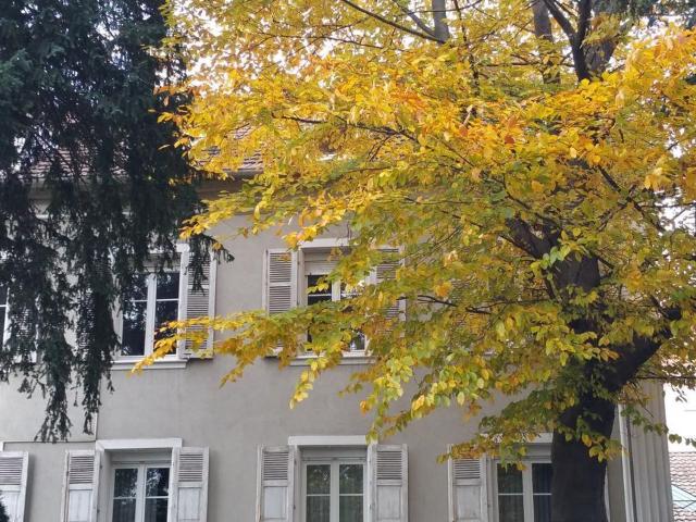 Appartement 3 pièces, 111 m² à louer à Mulhouse 68100