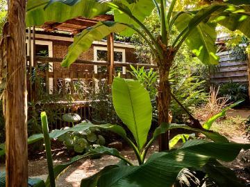 louer Appartement à Alpes