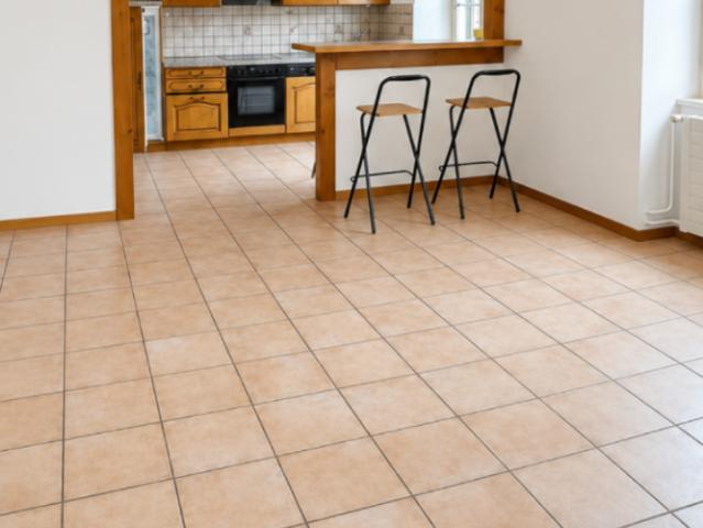 Appartement 3 pièces avec grand séjour et jardin commun à Fontaines