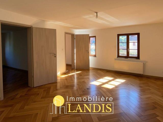 APPARTEMENT 3 PIÈCES AVEC VERRIÈRE ET CAVE