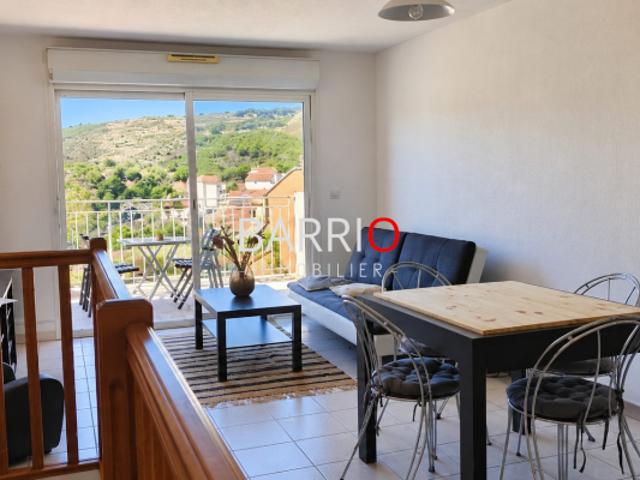 Appartement 3 pièces en duplex avec terrasse, vue montagne et g