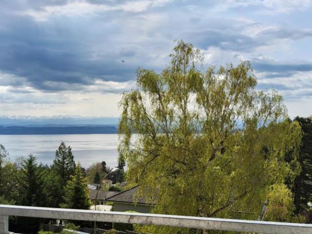 Appartement 3 pièces rénové Vue sur le lac et les Alpes