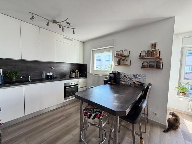 Appartement 3 pièces Selestat 61 m2 avec terrasse