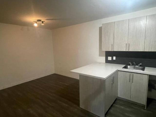 Appartement 3 1/2 à louer à labelle