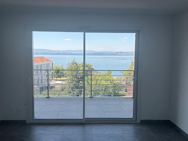 Appartement T3 Vue Lac Exceptionnelle 55m² Neuvecelle