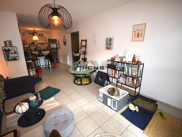 Appartement T3 avec grand jardin et deux parkings
